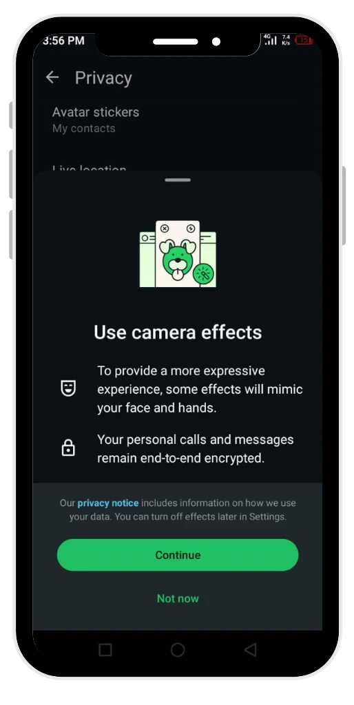 Use camera effects